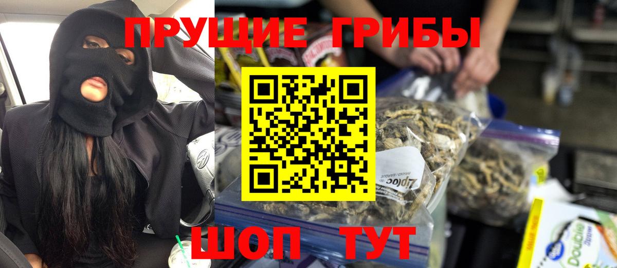 Коломна  Псилоцибиновые грибы MAGIC MUSHROOMS  Псилоцибиновые грибы Cubensis  Вход с VPN 